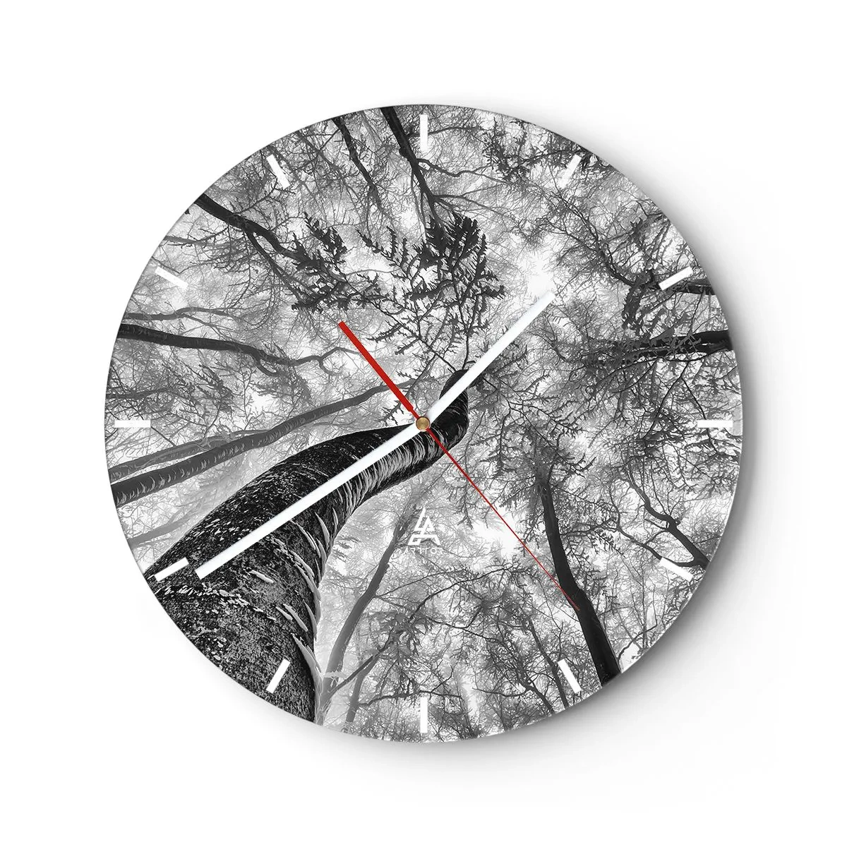 Orologio da parete - Orologio in Vetro - Vista in bianco e nero delle cime degli alberi da una prospettiva dall'alto - 30x30cm - La corsa verso la luce - Decorazione murale moderna per soggiorno, cucina e camera da letto ARTTOR