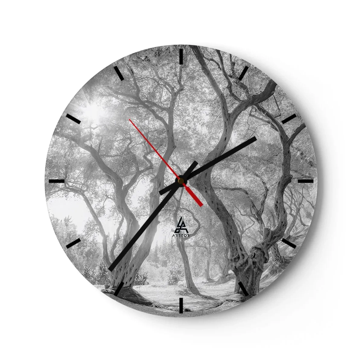 Orologio da parete - Orologio in Vetro - Alberi bianchi e neri alla luce del sole nella foresta - 30x30cm - Nell'orto degli ulivi - Decorazione murale moderna per soggiorno, cucina e camera da letto ARTTOR