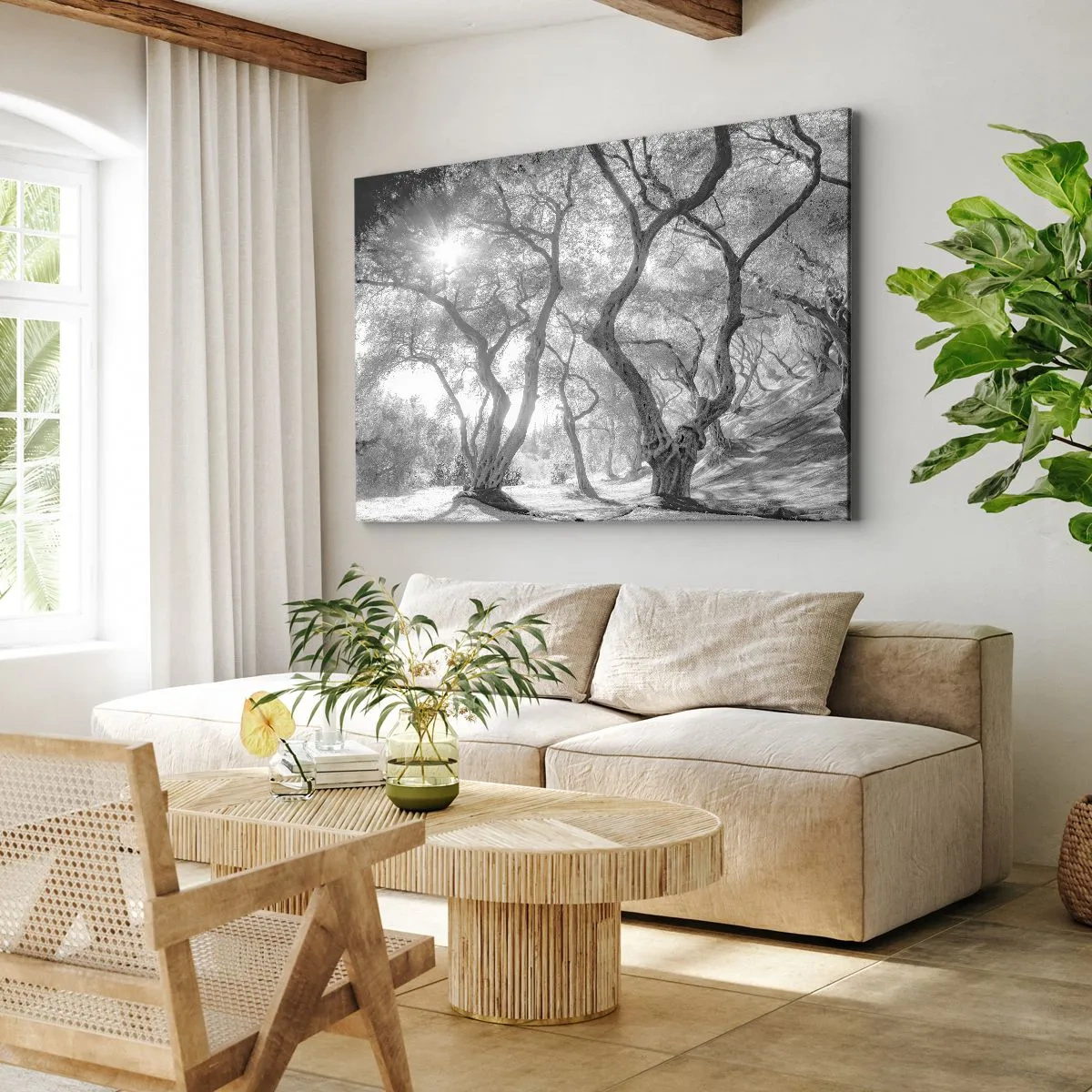 Quadro su tela - Stampe su Tela - Vista in bianco e nero degli alberi in un uliveto con raggi di sole - 70x50cm - Nell'orto degli ulivi - Decorazione murale moderna per soggiorno e camera da letto ARTTOR