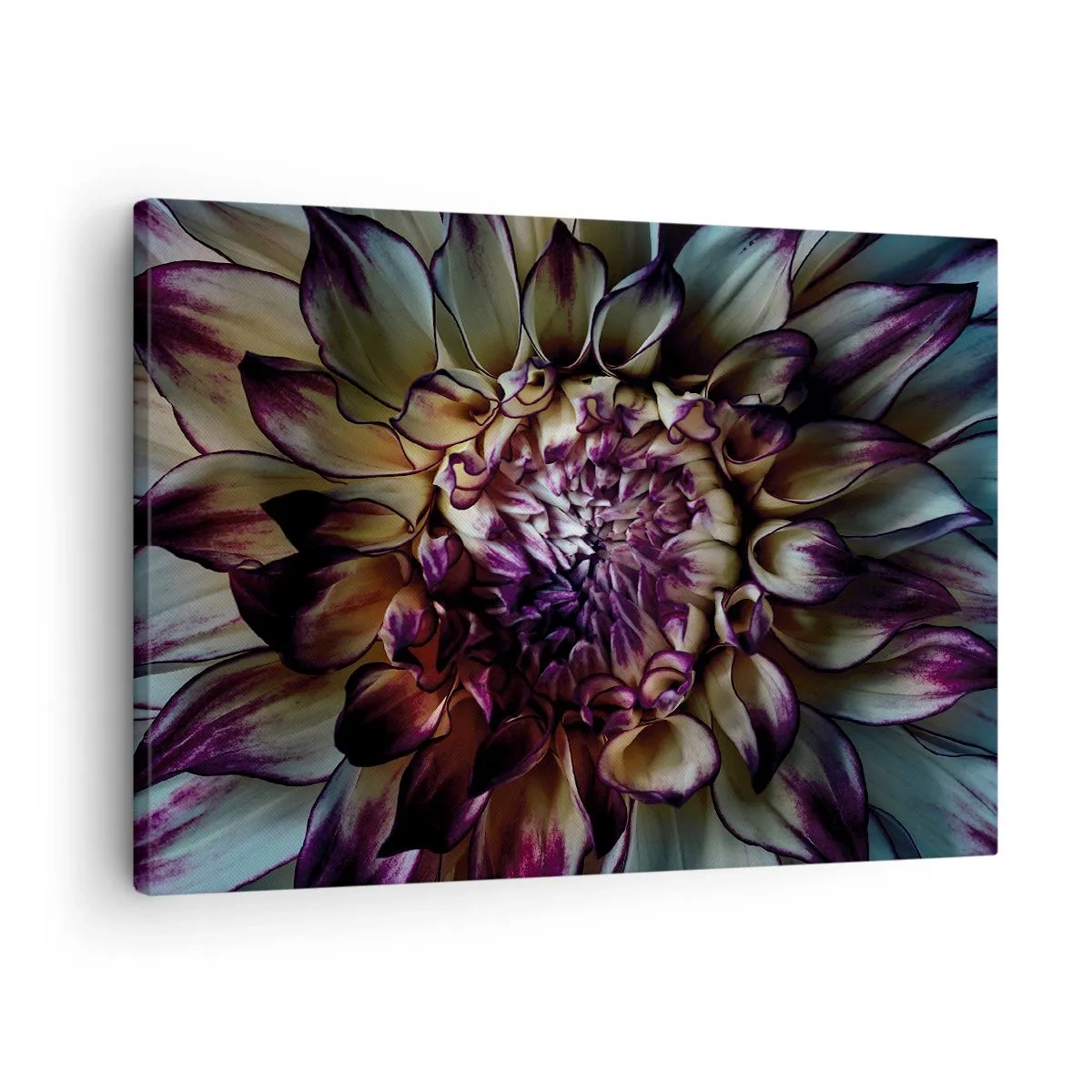 Quadro su tela - Stampe su Tela - Primo piano di un fiore di dalia in toni scuri - 70x50cm - Il rigoglio della giovinezza - Decorazione murale moderna per soggiorno e camera da letto ARTTOR