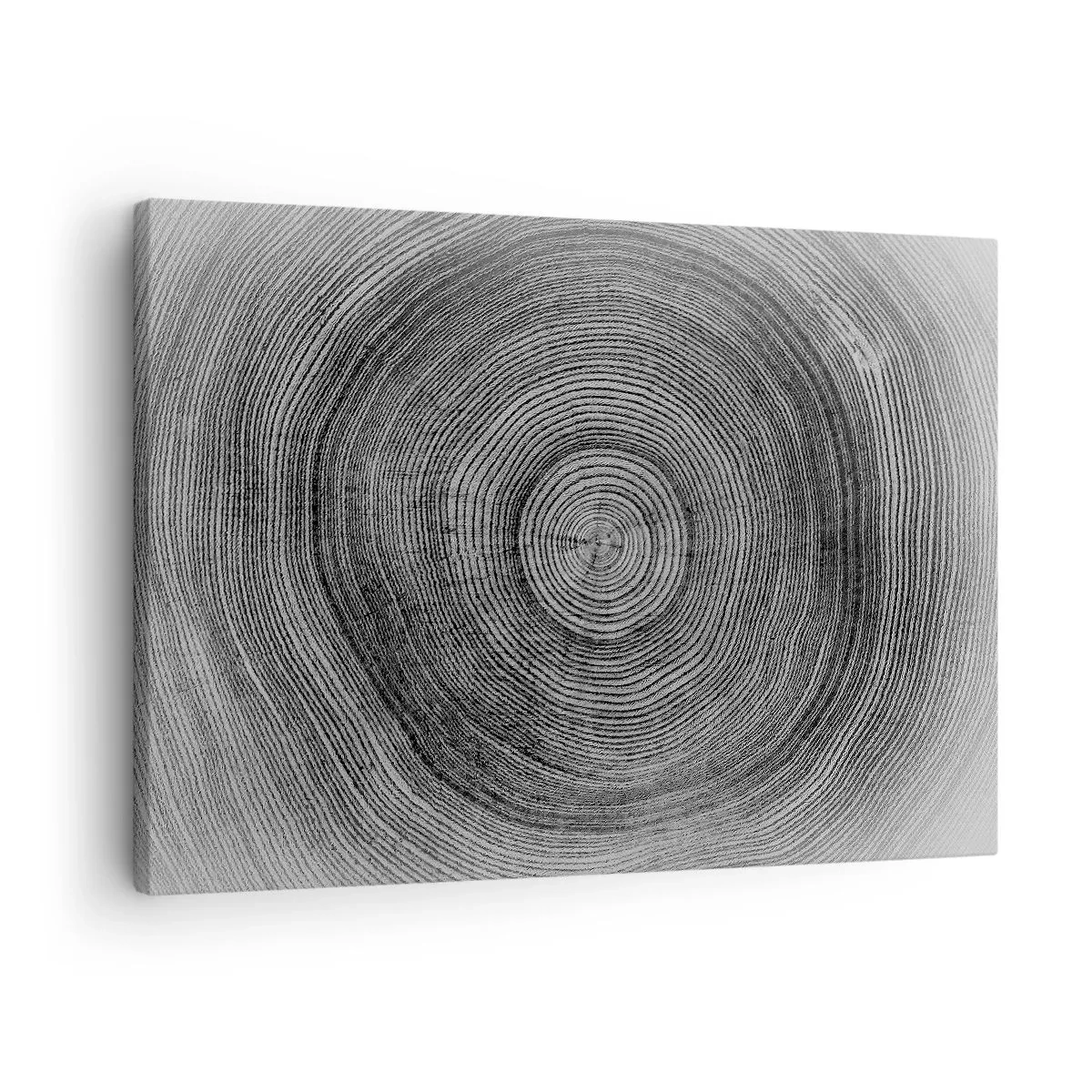 Quadro su tela - Stampe su Tela - Modello di anelli di un albero in bianco e nero che mostra una sezione trasversale del tronco - 70x50cm - I segni del tempo - Decorazione murale moderna per soggiorno e camera da letto ARTTOR