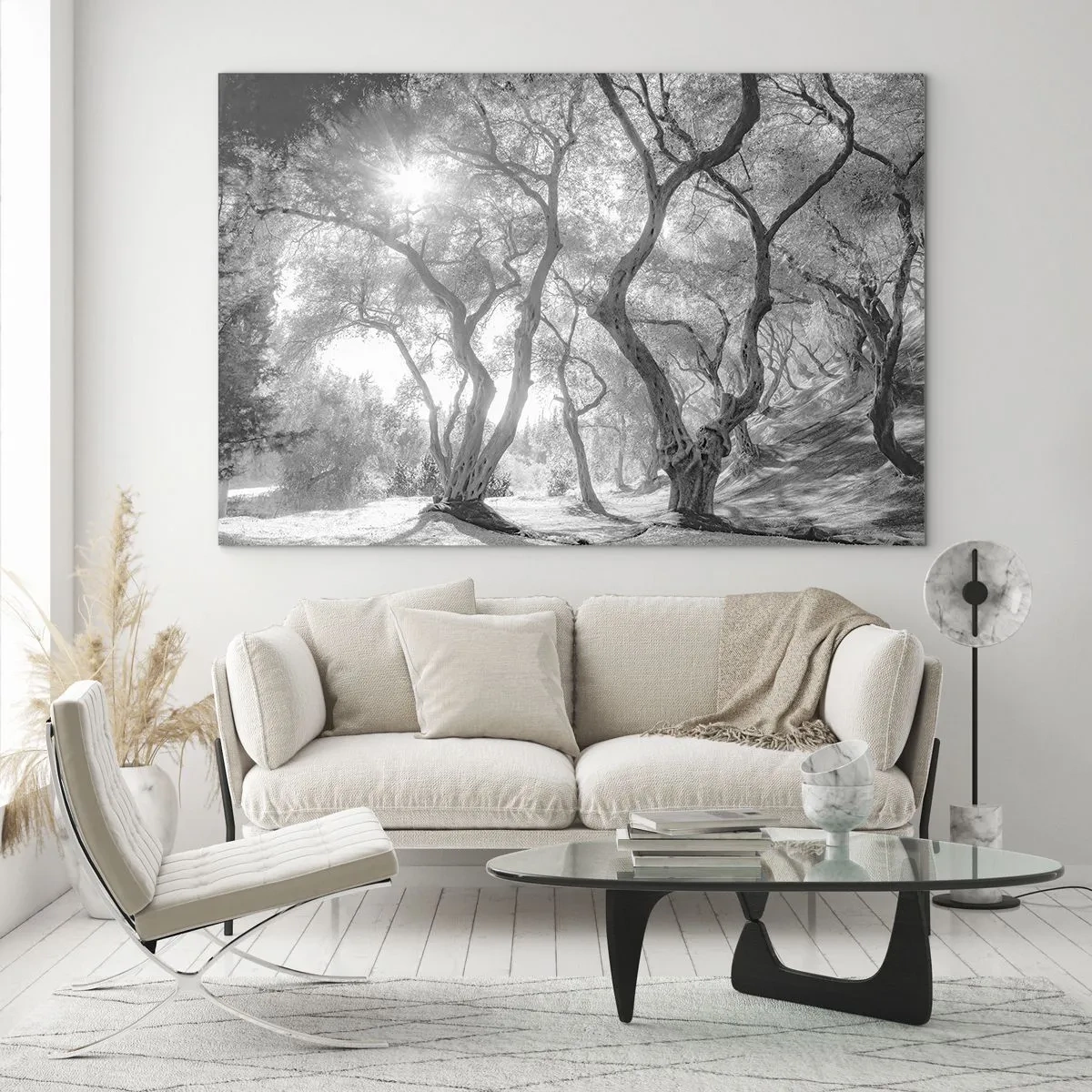 Quadro su vetro - Ulivi bianchi e neri alla luce del sole - 70x50cm - Nell'orto degli ulivi - Decorazione murale moderna per soggiorno e camera da letto ARTTOR
