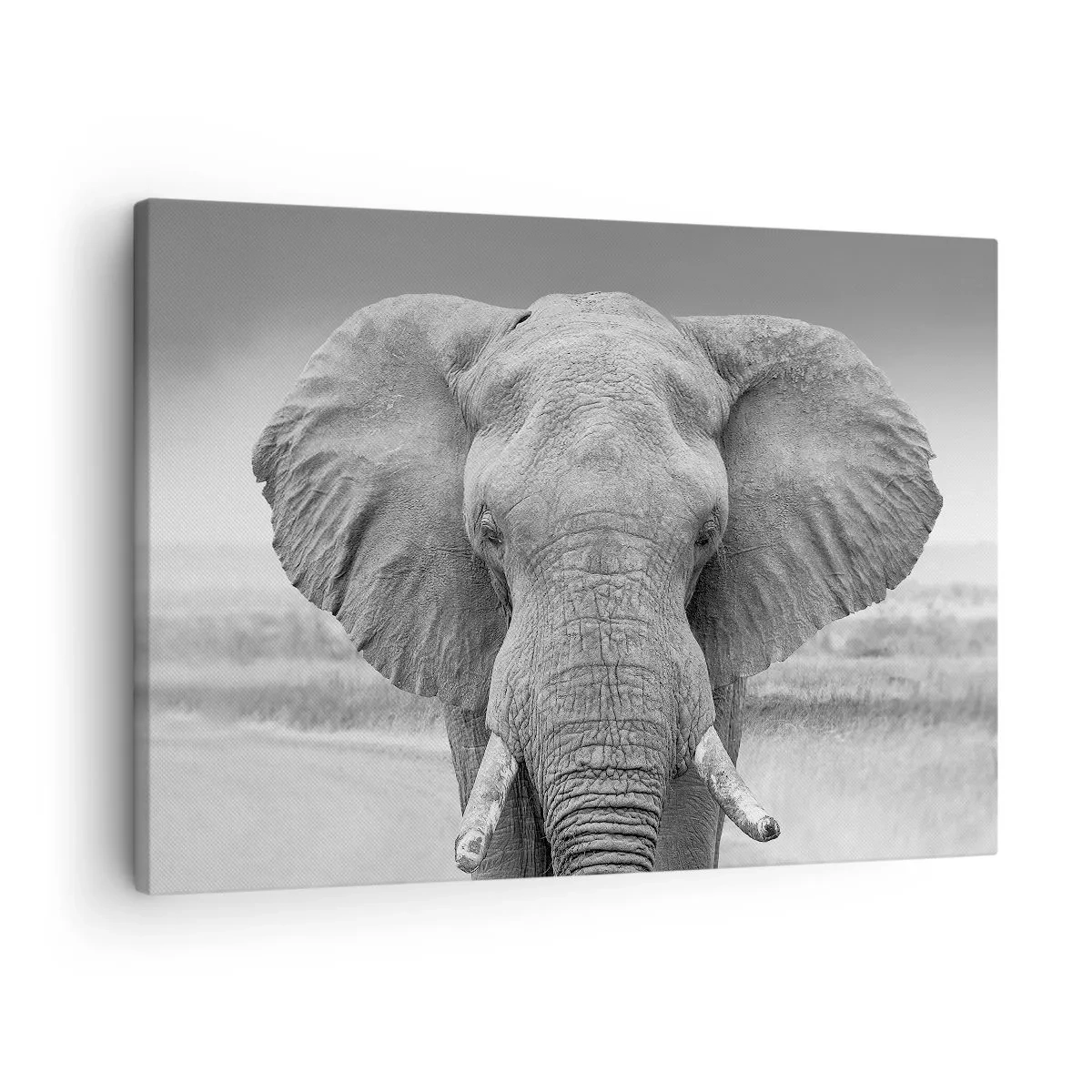 Quadro su tela - Stampe su Tela - Ritratto di un elefante in bianco e nero - 70x50cm - Benvenuti nel mio mondo - Decorazione murale moderna per soggiorno e camera da letto ARTTOR