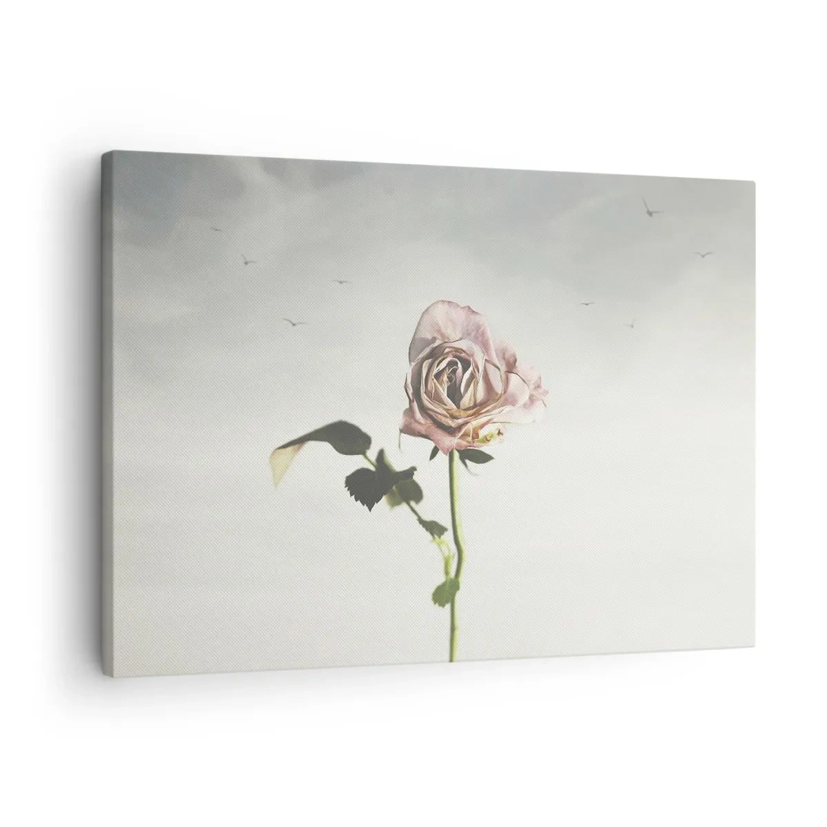 Quadro su tela - Stampe su Tela - Una rosa delicata contro un cielo luminoso con uccelli che volano - 70x50cm - Il benvenuto alla primavera - Decorazione murale moderna per soggiorno e camera da letto ARTTOR