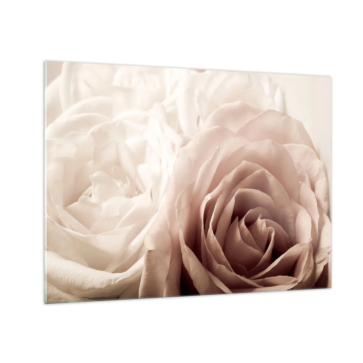 Quadro su vetro - Delicate rose chiare in un romantico primo piano - 70x50cm - Nel cuore della rosa - Decorazione murale moderna per soggiorno e camera da letto ARTTOR
