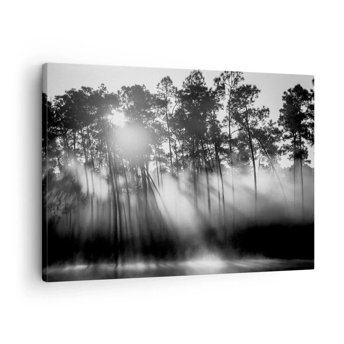 Quadro su tela - Stampe su Tela - Foresta bianca e nera nella nebbia mattutina - 70x50cm - Sole irrefrenabile - Decorazione murale moderna per soggiorno e camera da letto ARTTOR