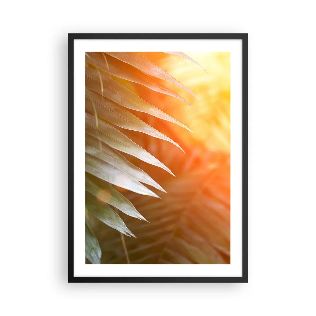 Poster in cornice nera - Foglie di palma alla luce del sole al tramonto - 50x70cm - L'alba nella giungla - Decorazione murale moderna per soggiorno e camera da letto ARTTOR