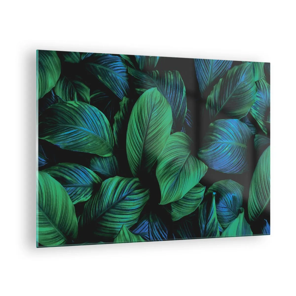 Quadro su vetro - Primo piano delle foglie in intense tonalità di verde - 70x50cm - Nella folla verde - Decorazione murale moderna per soggiorno e camera da letto ARTTOR