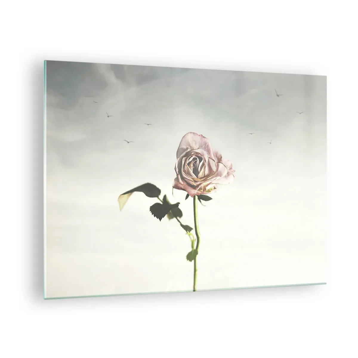 Quadro su vetro - Una rosa delicata contro il cielo con uccelli in volo - 70x50cm - Il benvenuto alla primavera - Decorazione murale moderna per soggiorno e camera da letto ARTTOR