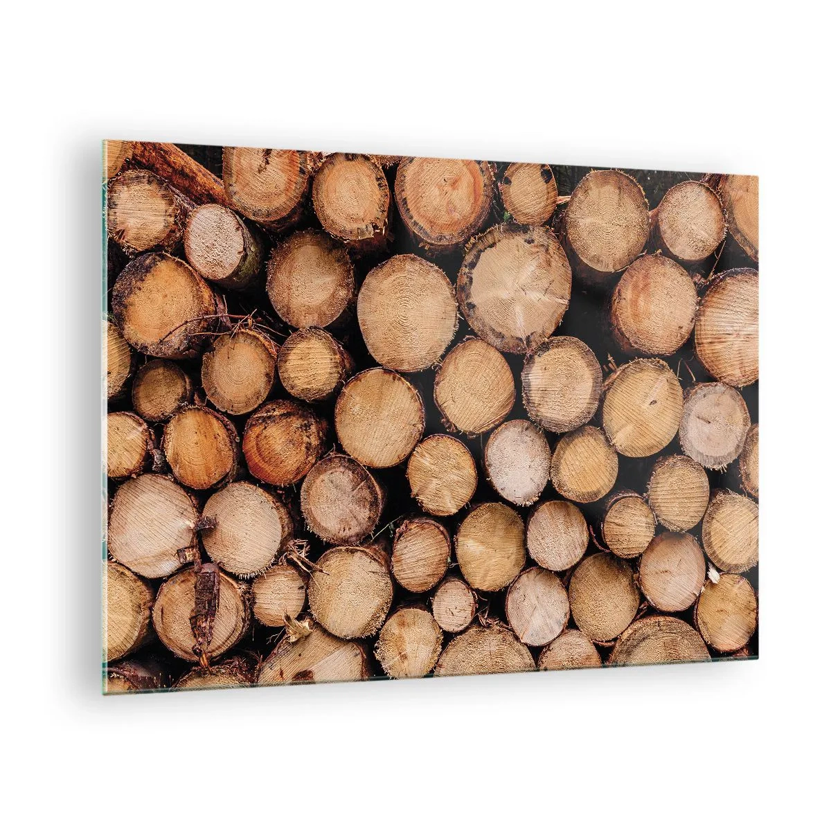 Quadro su vetro - Tronchi d'albero disposti verticalmente con anelli di crescita visibili - 70x50cm - Nuovo inizio - Decorazione murale moderna per soggiorno e camera da letto ARTTOR