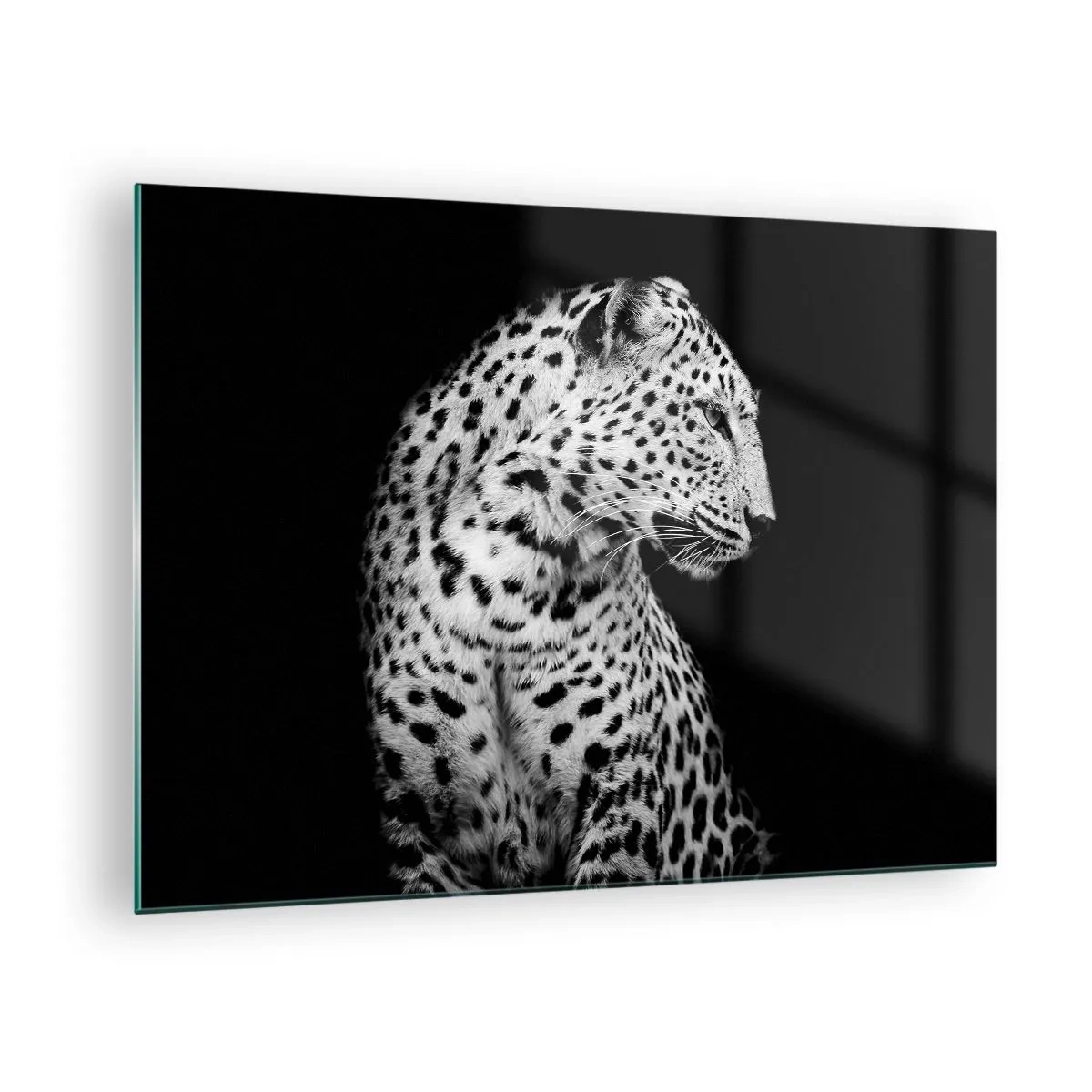 Quadro su vetro - Un leopardo in luce bianca e nera contro una finestra - 70x50cm - Profilo destro perfetto! - Decorazione murale moderna per soggiorno e camera da letto ARTTOR