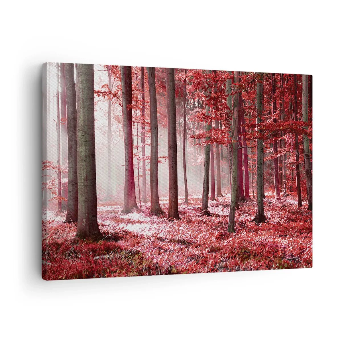 Quadro su tela - Stampe su Tela - Una splendida foresta dalle tonalità rosse con raggi di luce che penetrano attraverso gli alberi - 70x50cm - Anche rosso è bello - Decorazione murale moderna per soggiorno e camera da letto ARTTOR