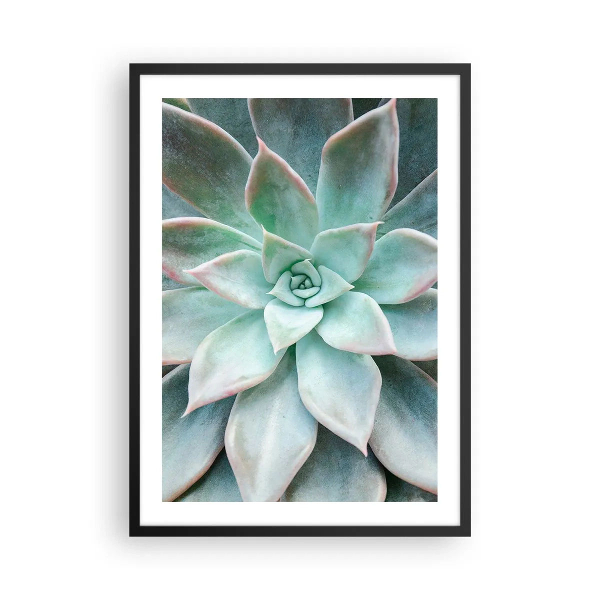 Poster in cornice nera - Primo piano delle foglie simmetriche di una succulenta nelle tonalità del verde. - 50x70cm - Il cuore del deserto - Decorazione murale moderna per soggiorno e camera da letto ARTTOR