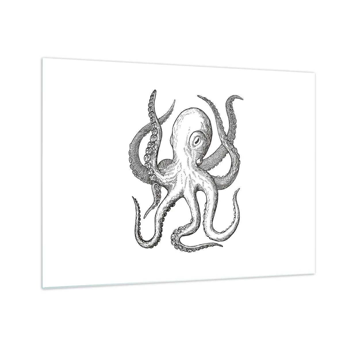 Quadro su vetro - Disegno in bianco e nero di un polpo su sfondo bianco - 70x50cm - Ballando con le onde - Decorazione murale moderna per soggiorno e camera da letto ARTTOR