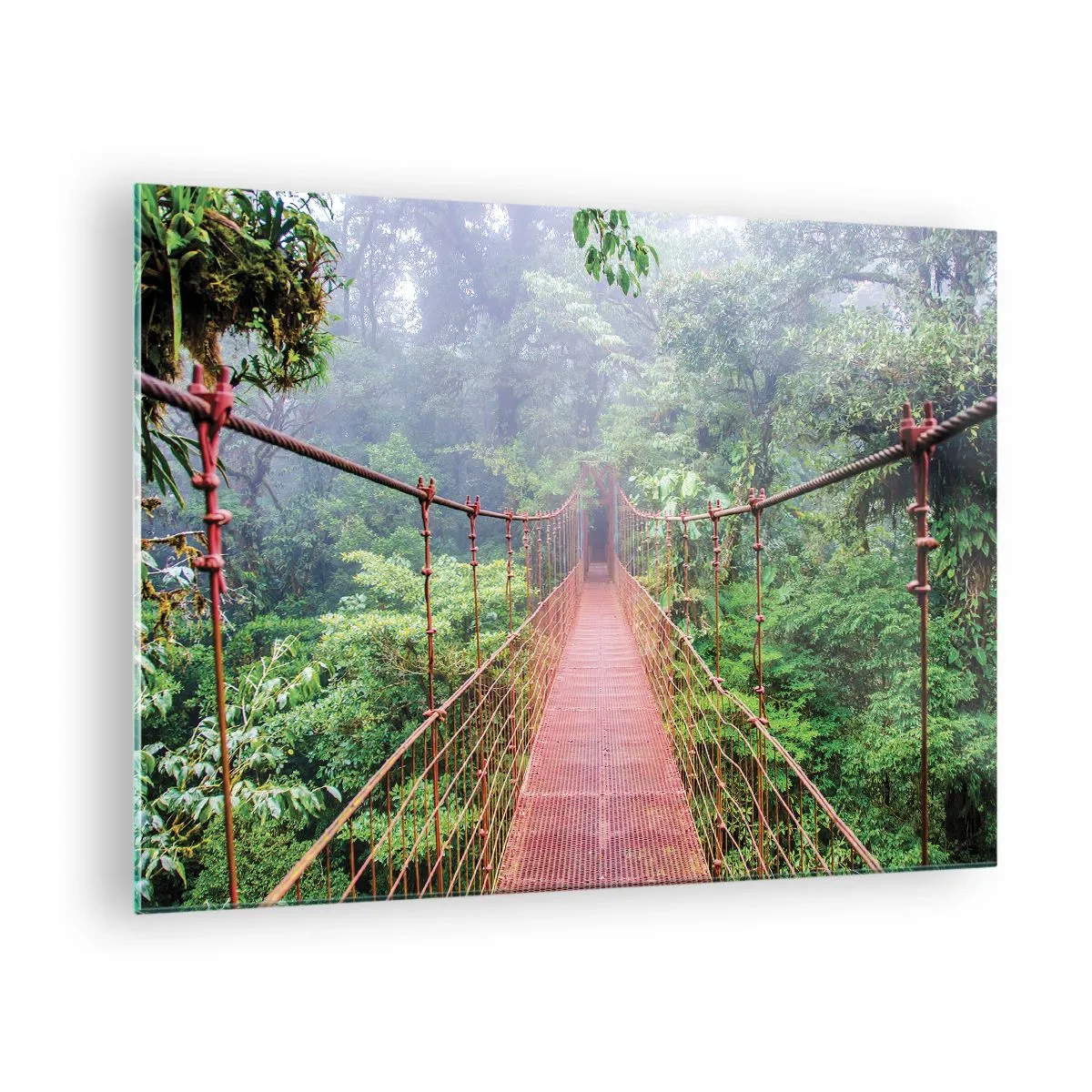Quadro su vetro - Un ponte sospeso rosso sopra una giungla verde nella nebbia - 70x50cm - Sospeso sopra gli alberi - Decorazione murale moderna per soggiorno e camera da letto ARTTOR
