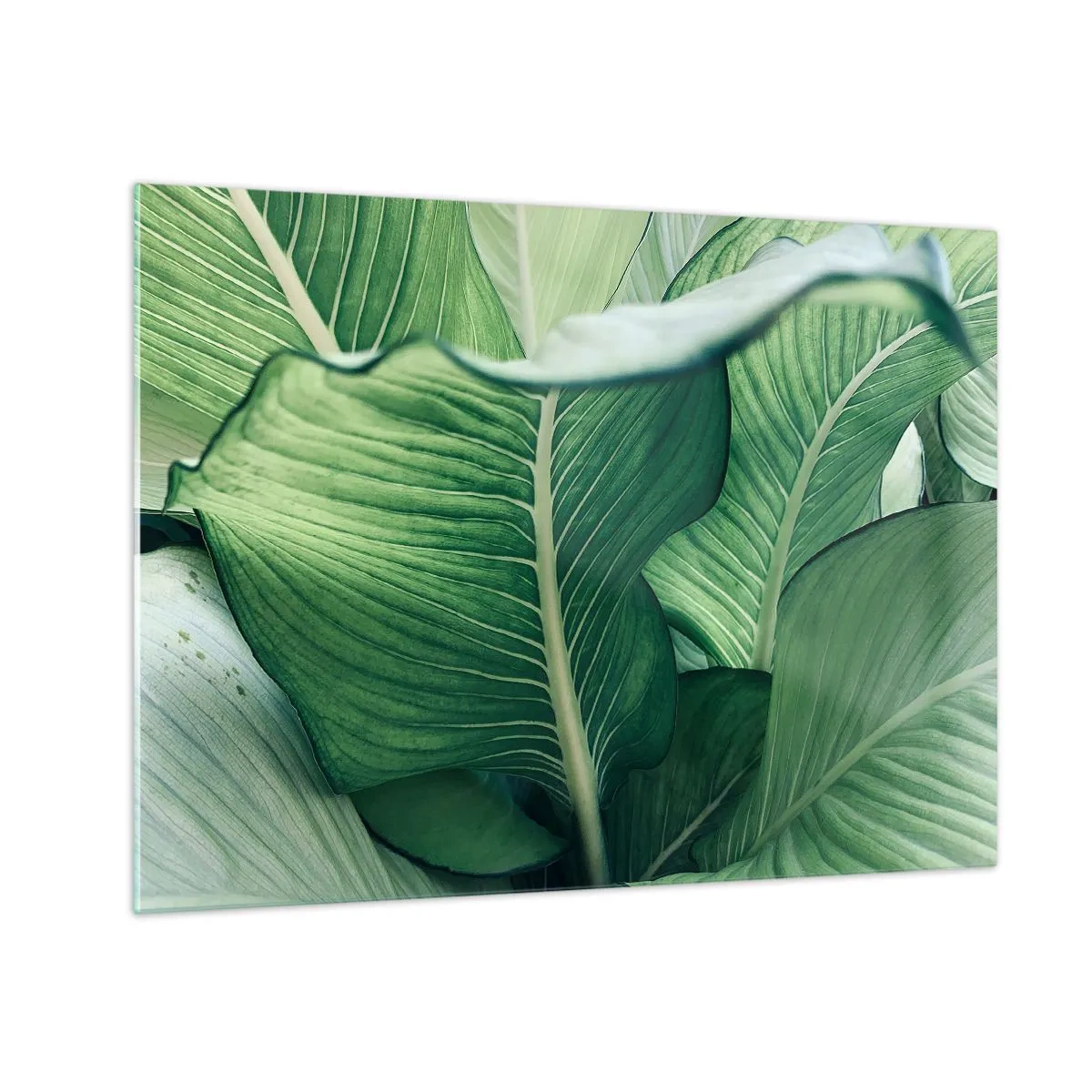 Quadro su vetro - Foglie verdi lussureggianti in primo piano e con luce naturale - 70x50cm - Una vita intensamente verde - Decorazione murale moderna per soggiorno e camera da letto ARTTOR