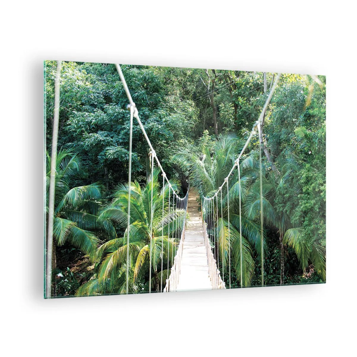 Quadro su vetro - Ponte sospeso in una foresta tropicale - 70x50cm - Welcome to the jungle! - Decorazione murale moderna per soggiorno e camera da letto ARTTOR