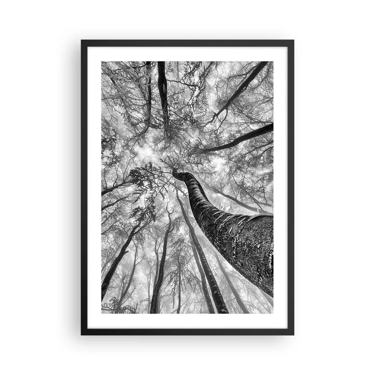 Poster in cornice nera - Prospettiva degli alberi in bianco e nero - 50x70cm - La corsa verso la luce - Decorazione murale moderna per soggiorno e camera da letto ARTTOR