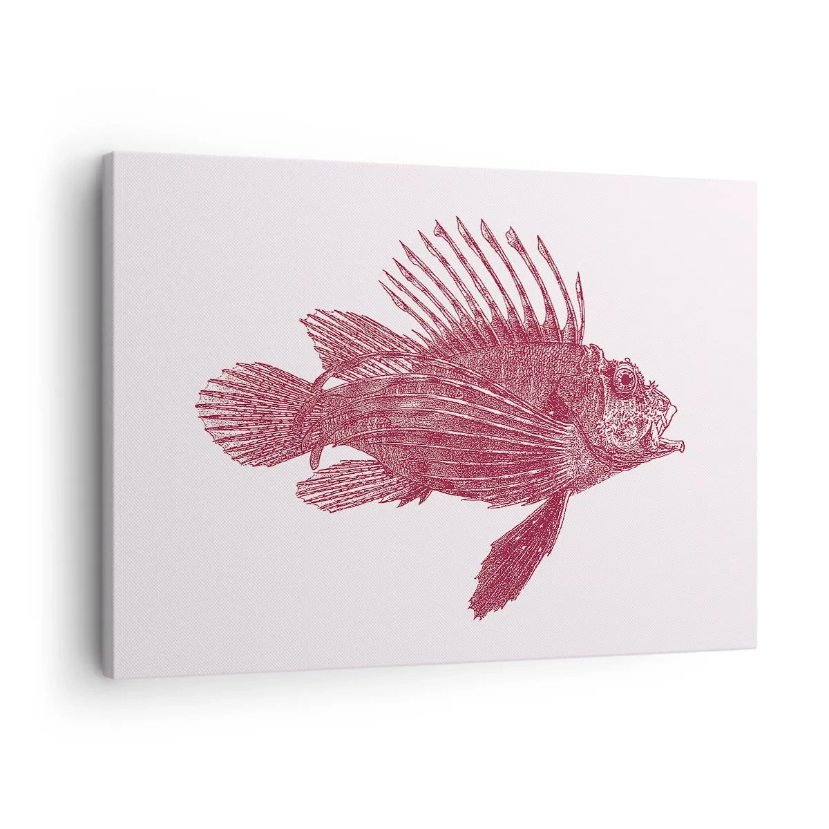 Quadro su tela - Stampe su Tela - Disegno di un pesce in tonalità rossa - 70x50cm - Abitante di mari esotici - Decorazione murale moderna per soggiorno e camera da letto ARTTOR