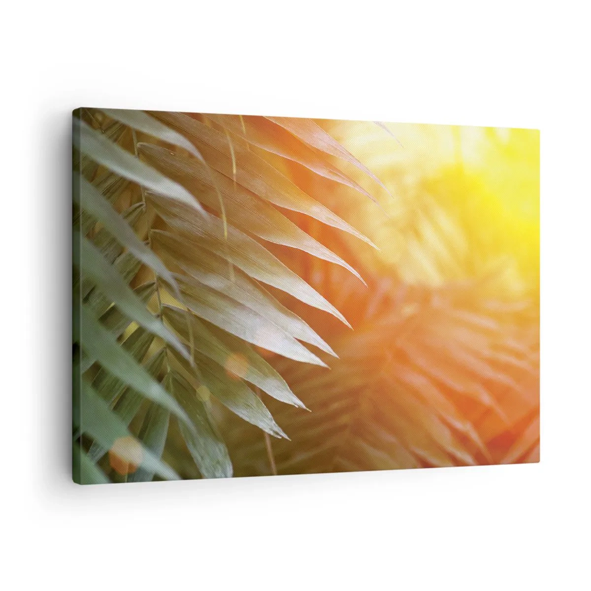 Quadro su tela - Stampe su Tela - Foglie di palma nei raggi del tramonto - 70x50cm - L'alba nella giungla - Decorazione murale moderna per soggiorno e camera da letto ARTTOR