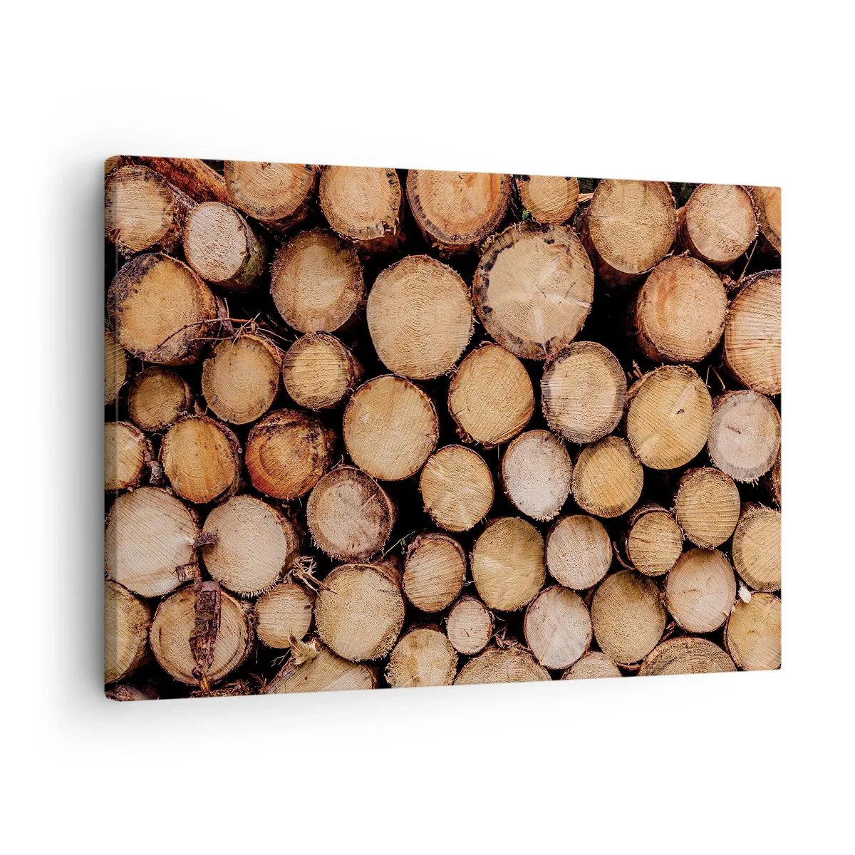 Quadro su tela - Stampe su Tela - Mucchi di tronchi d'albero abbattuti disposti in armonia - 70x50cm - Nuovo inizio - Decorazione murale moderna per soggiorno e camera da letto ARTTOR