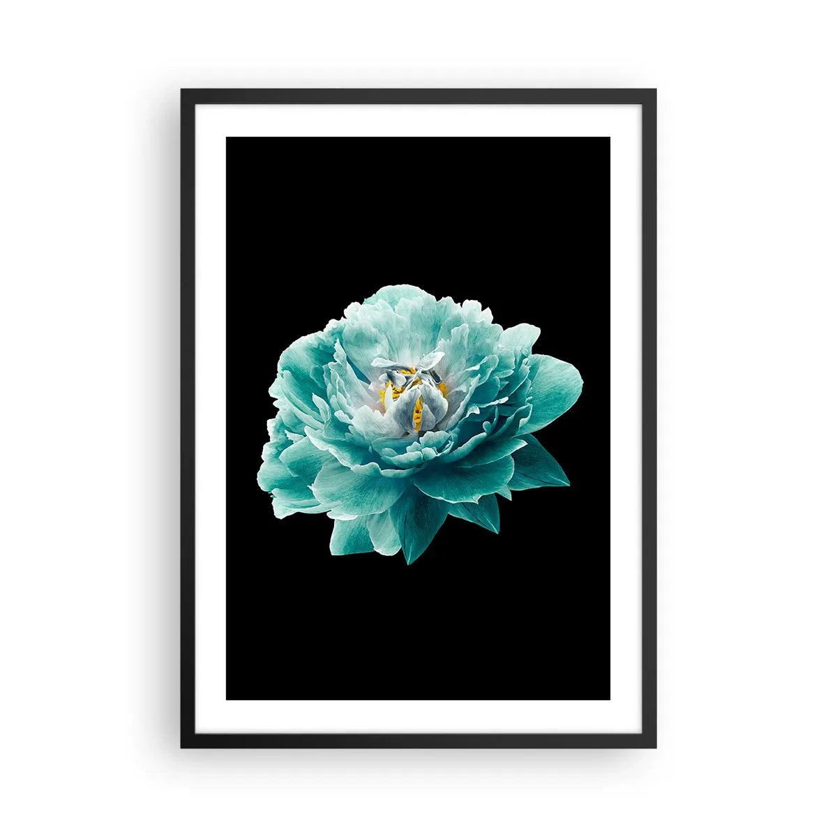 Poster in cornice nera - Fiore turchese con un'ape su sfondo nero - 50x70cm - Petali blu e oro - Decorazione murale moderna per soggiorno e camera da letto ARTTOR