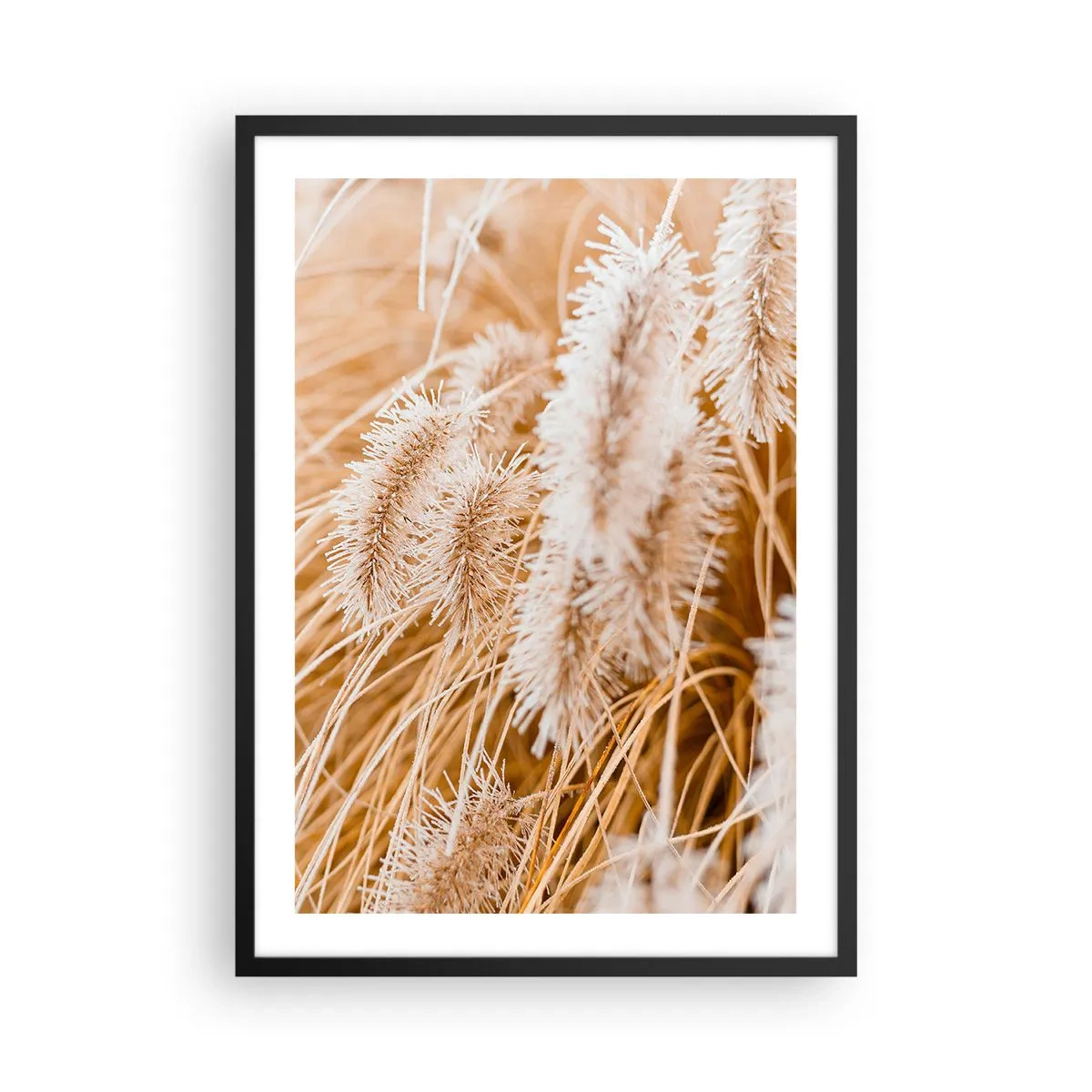 Poster in cornice nera - Delicati spuntoni d'erba in tonalità pastello di beige - 50x70cm - Il fruscio dorato dell'erba - Decorazione murale moderna per soggiorno e camera da letto ARTTOR